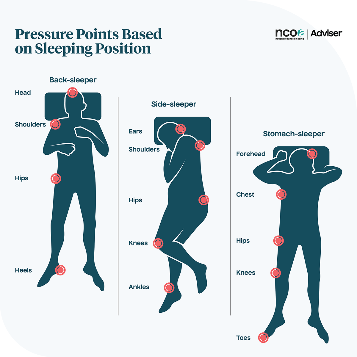 Infographic showing areas where pressure is most likely to accumulate around the body during sleep.